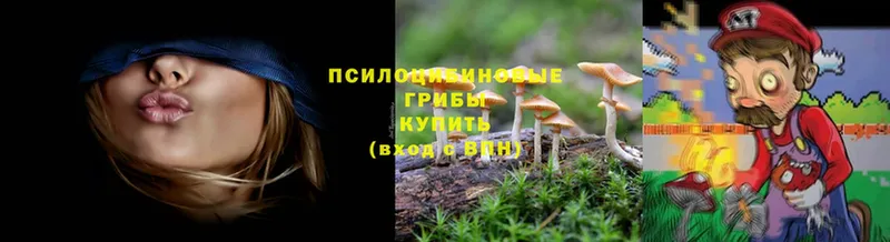 площадка клад  Электросталь  Галлюциногенные грибы GOLDEN TEACHER 